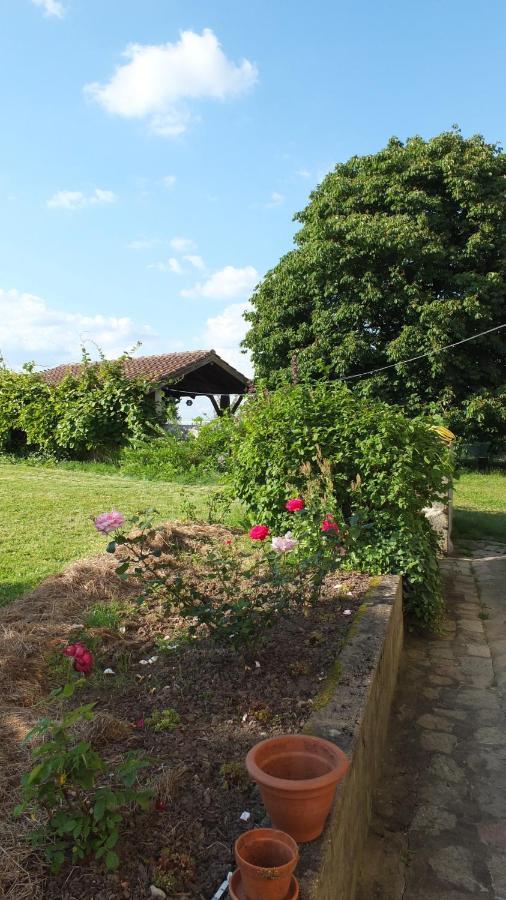 A L'Ombre Du Marronnier Gites La Peruse Zewnętrze zdjęcie