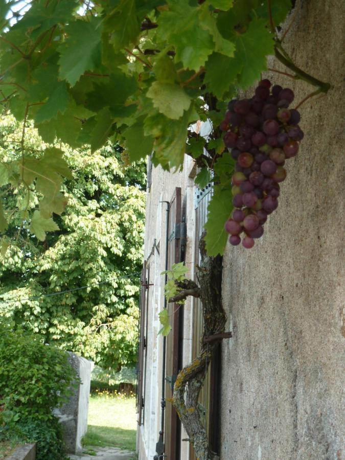 A L'Ombre Du Marronnier Gites La Peruse Zewnętrze zdjęcie