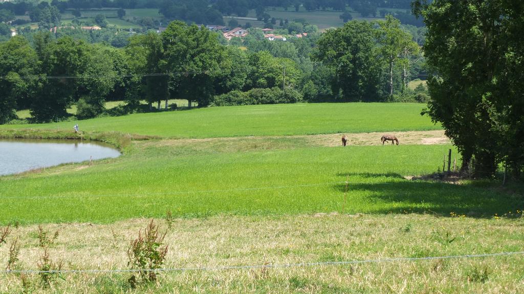 A L'Ombre Du Marronnier Gites La Peruse Zewnętrze zdjęcie